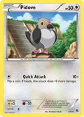 Pidove (#21)