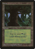 Forest (C)