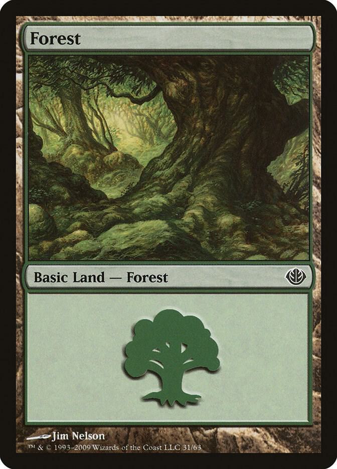 Forest (31)