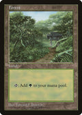 Forest - Clear Pack (Beard, Jr.)