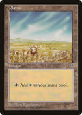 Plains (Buffalo)