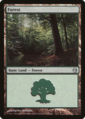 Forest (112)