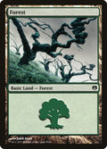 Forest (78)