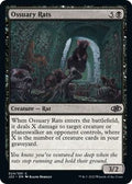 Ossuary Rats