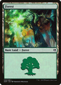 Forest (039)