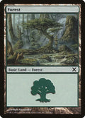 Forest (382)