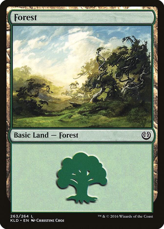 Forest (263)