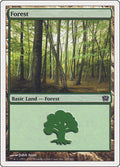 Forest (349)