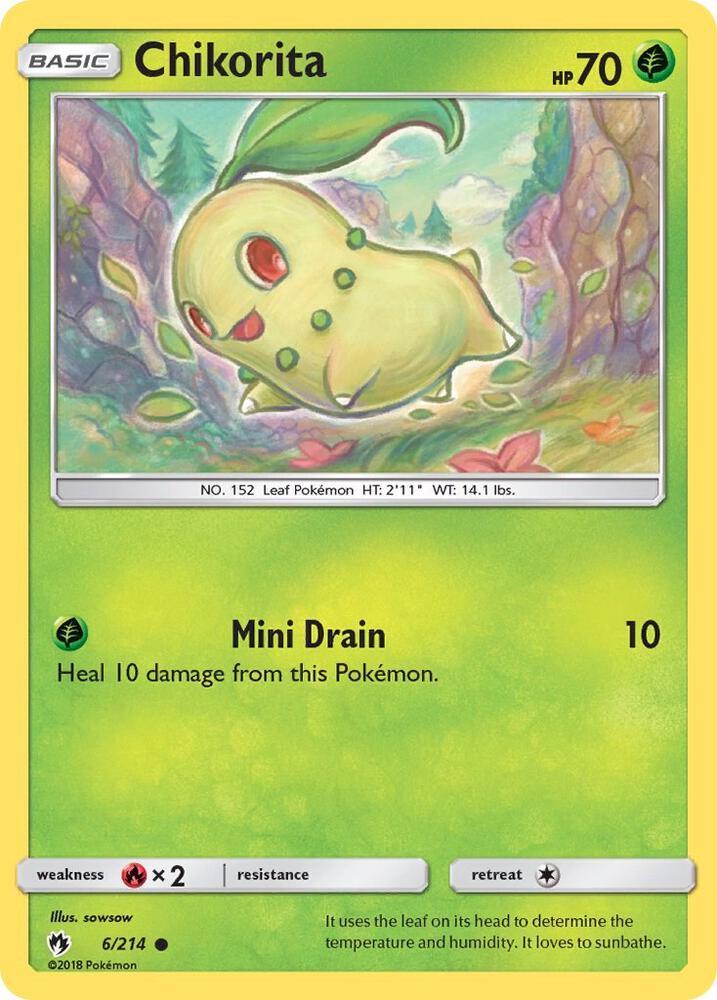 Chikorita (6)