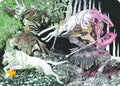 Ferocity of the Hunt Art Card (Gold-Stamped) [Art Series: Reality Fracture]