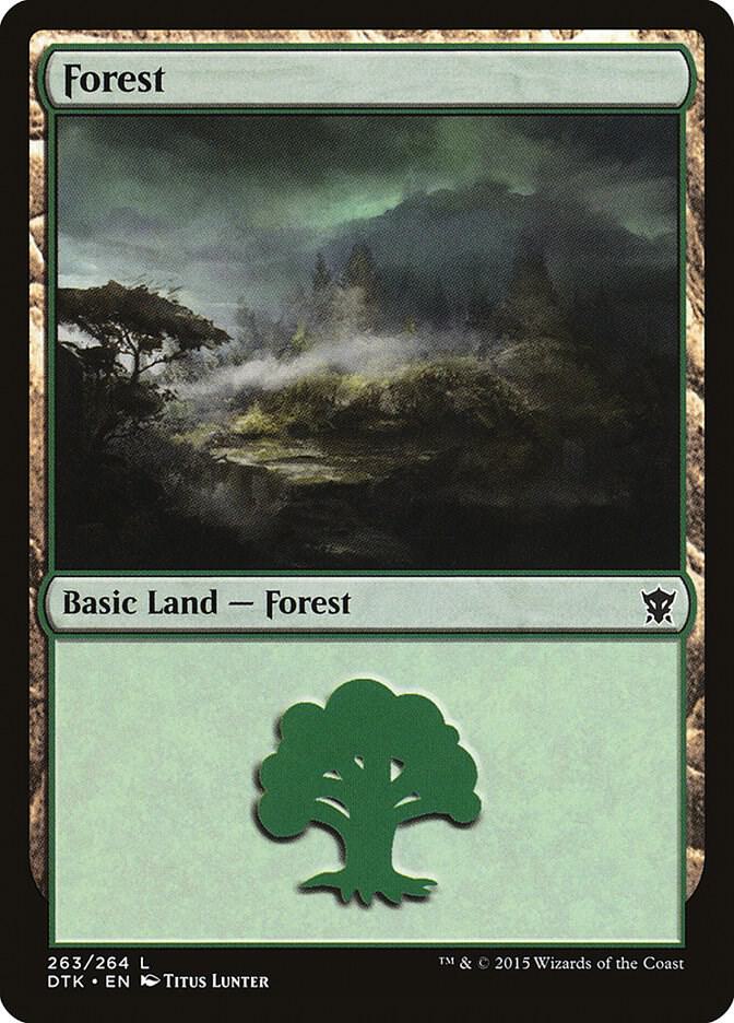 Forest (263)
