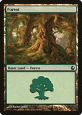 Forest (249)